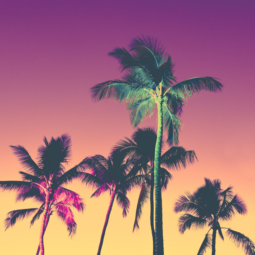 Neon Palm Trees synthwave music examples